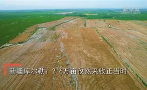 c7娱乐-曼联客场苦战库尔勒，取得关键胜利的简单介绍